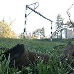 Zirkelsteinresort Ggmbh Schöna