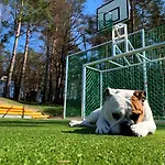 Zirkelsteinresort Ggmbh בית הארחה