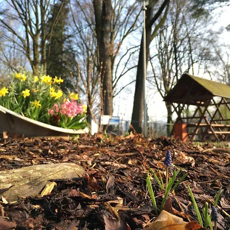 Zirkelsteinresort Ggmbh Guest house Schona